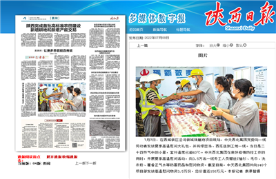 尊龙时凯西北集团珑樾府项目高温慰问——《陕西日报》